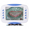 Цифровой микроскоп Levenhuk D90L LCD pic 7